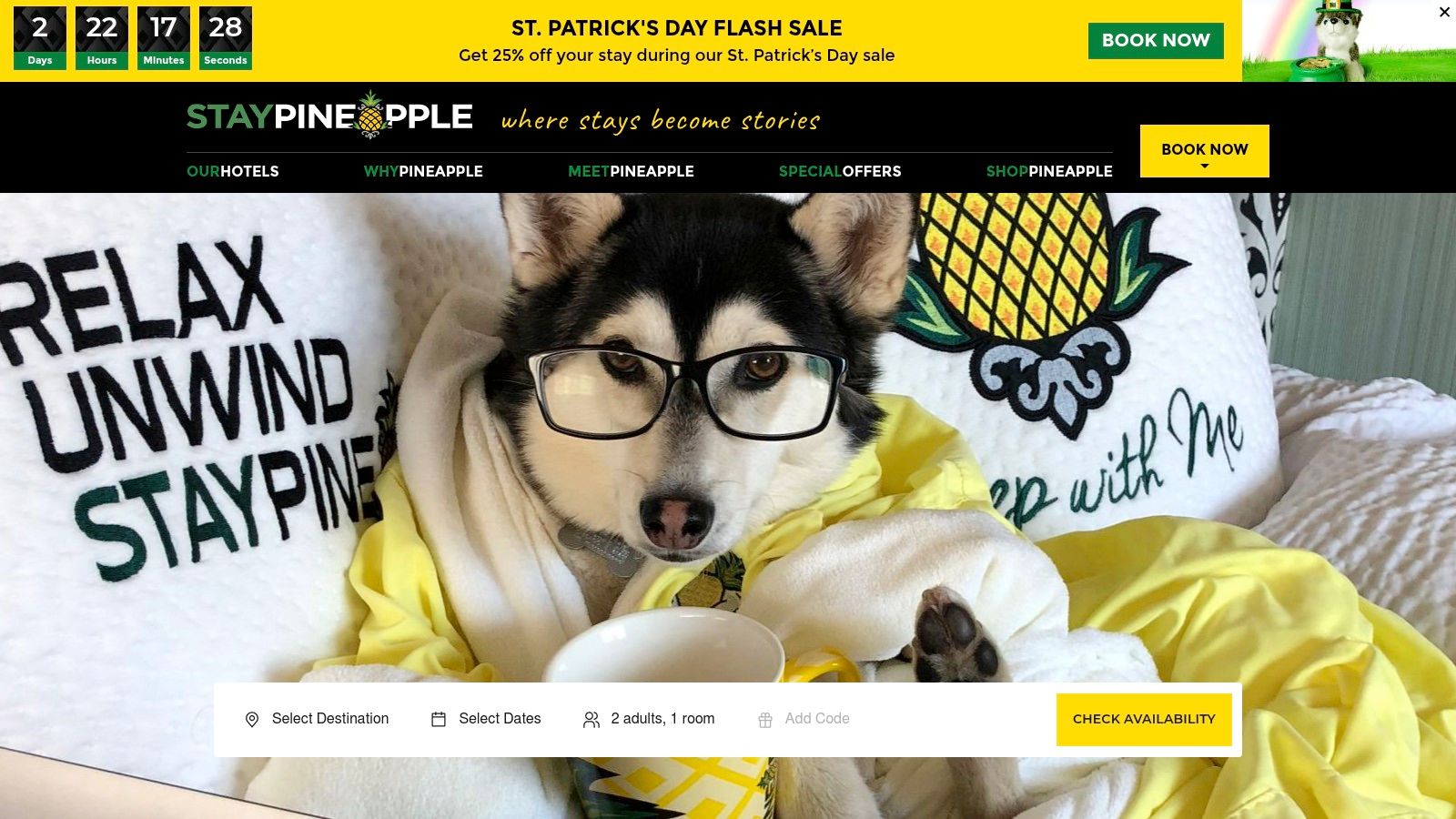 A dog snuggled in a cozy hotel bed with yellow pillows, representing the welcoming atmosphere of Staypineapple Hotels.