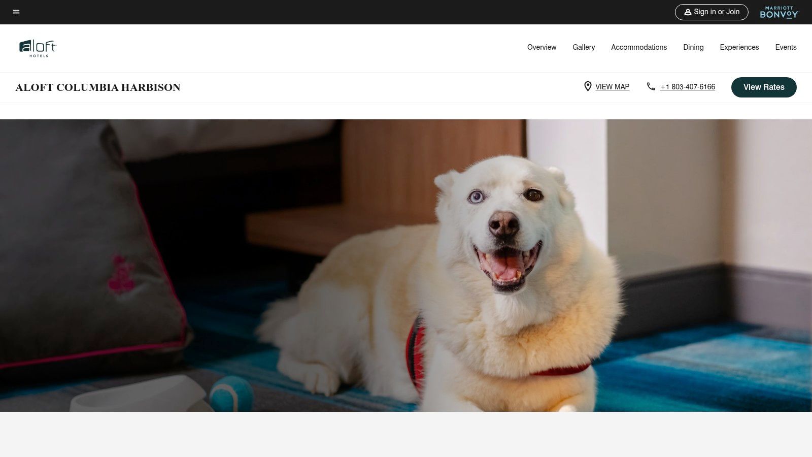 Aloft Hotels (Marriott Bonvoy)